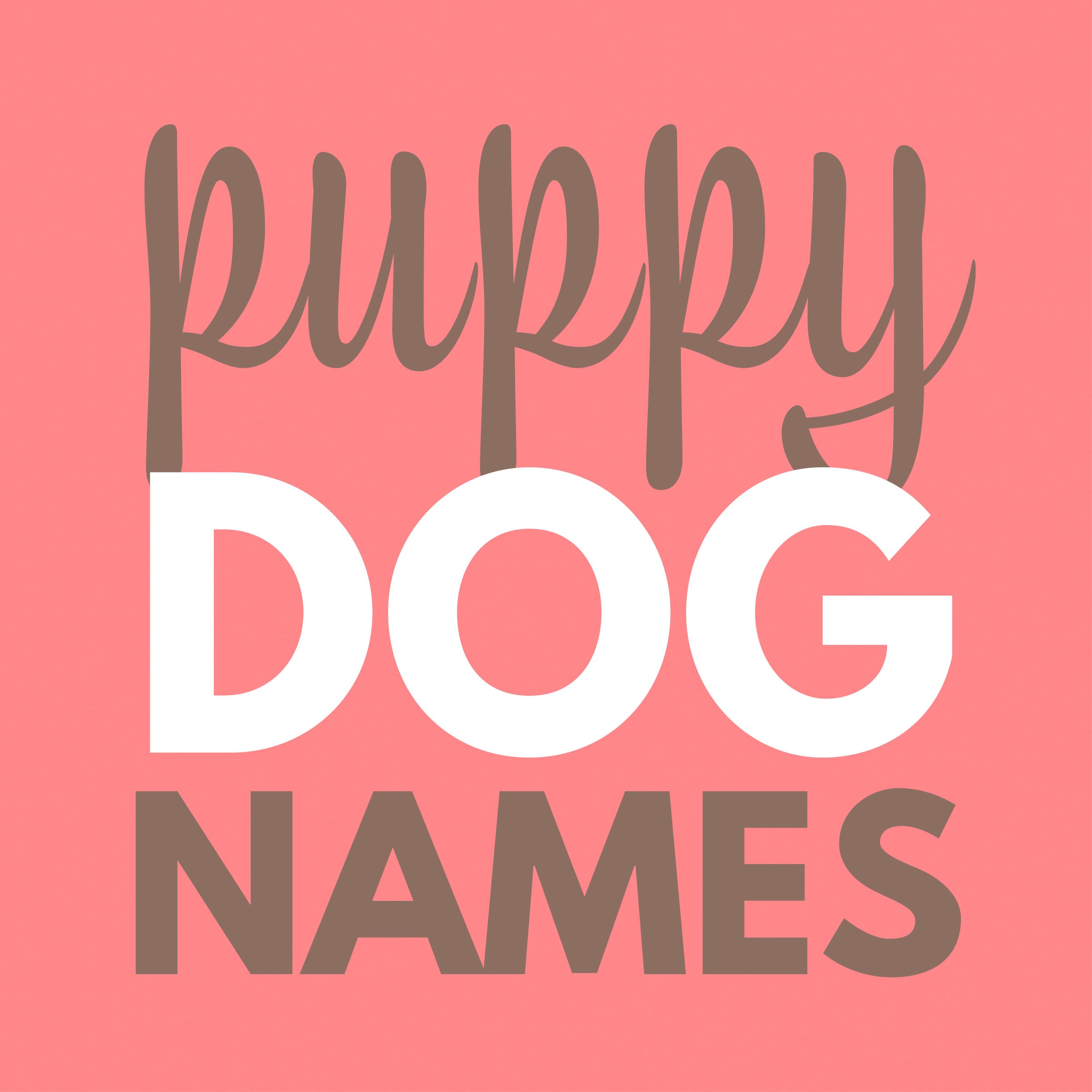 what-should-i-name-my-puppy-doodle-dog-town